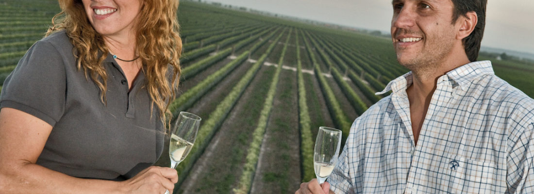 Se presentó el prototipo del turismo del vino en la FITur 2018