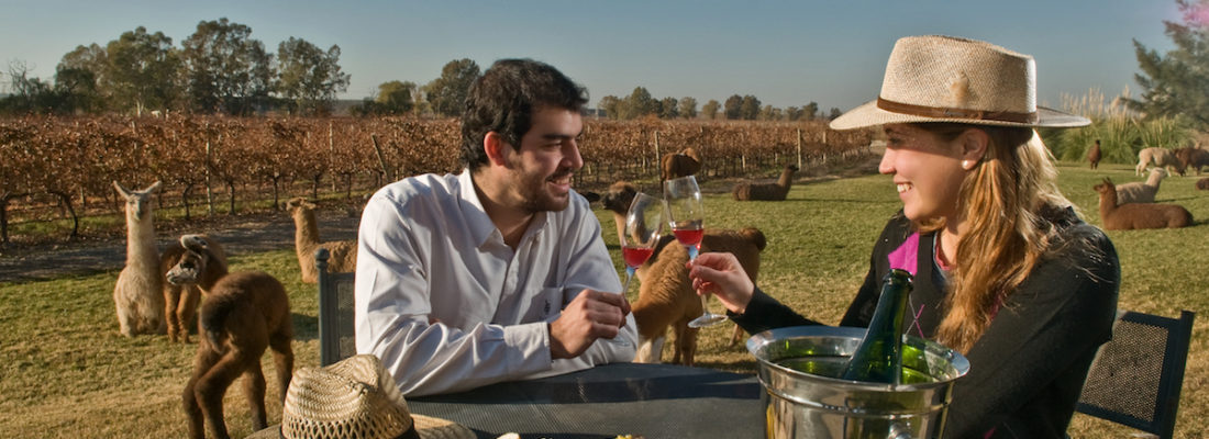 Bodegas de Argentina se asocia con EarthCheck para desarrollar un turismo sostenible