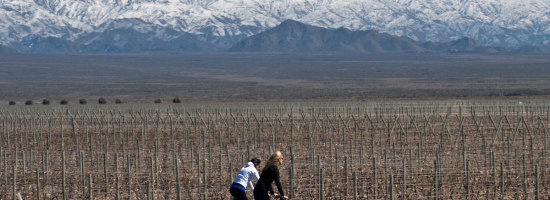 Taller de Turismo del Vino en el Centro de Congresos y Exposiciones