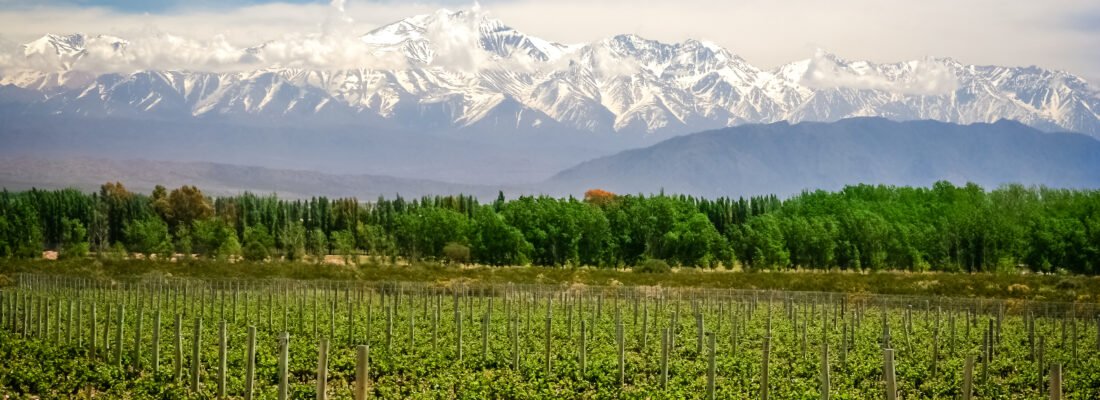 Bodegas de Argentina rechaza el aumento del Impuesto para Solventar a COVIAR y apoya la iniciativa de la Secretaría de Agricultura, Ganadería y Pesca de la Nación, por su desacuerdo con la medida. 
