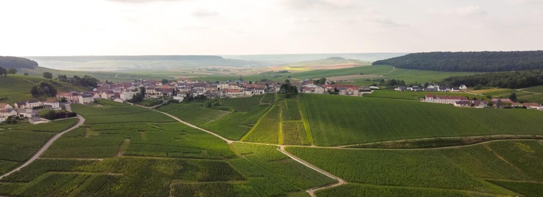 Bodegas de Argentina participó en una misión técnica de alto nivel en Francia